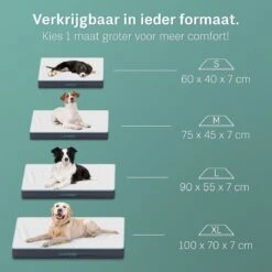 CozySense® - Orthopedisch Hondenkussen - Hondenkussen 90 X 55 Cm - Ook Geschikt Als Benchkussen & Hondenbed - Hondenkussen Bank - Traagschuim - Waterdicht - Wasbare Hoes - Maat L 11 CozySense® - Orthopedisch Hondenkussen - Hondenkussen 90 X 55 Cm - Ook Geschikt Als Benchkussen & Hondenbed - Hondenkussen Bank - Traagschuim - Waterdicht - Wasbare Hoes - Maat L -Hondenartikelen Serie Winkel 1200x1200 366