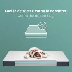 CozySense® - Orthopedisch Hondenkussen - Hondenkussen 90 X 55 Cm - Ook Geschikt Als Benchkussen & Hondenbed - Hondenkussen Bank - Traagschuim - Waterdicht - Wasbare Hoes - Maat L 13 CozySense® - Orthopedisch Hondenkussen - Hondenkussen 90 X 55 Cm - Ook Geschikt Als Benchkussen & Hondenbed - Hondenkussen Bank - Traagschuim - Waterdicht - Wasbare Hoes - Maat L -Hondenartikelen Serie Winkel 1200x1200 368