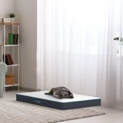 CozySense® - Orthopedisch Hondenkussen - Hondenkussen 90 X 55 Cm - Ook Geschikt Als Benchkussen & Hondenbed - Hondenkussen Bank - Traagschuim - Waterdicht - Wasbare Hoes - Maat L 15 CozySense® - Orthopedisch Hondenkussen - Hondenkussen 90 X 55 Cm - Ook Geschikt Als Benchkussen & Hondenbed - Hondenkussen Bank - Traagschuim - Waterdicht - Wasbare Hoes - Maat L -Hondenartikelen Serie Winkel 1200x1200 370