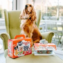 Smoofl Honden Lekkernij - Starter Kit Om Je Eigen Honden Ijs Te Maken, Kit Met 2 Ijsmixen Voor Honden, Pindakaas En Aardbei Smaak, Een Pootvormige Silicone Vorm - Voor 4 Hondenijsjes 15 Smoofl Honden Lekkernij - Starter Kit Om Je Eigen Honden Ijs Te Maken, Kit Met 2 Ijsmixen Voor Honden, Pindakaas En Aardbei Smaak, Een Pootvormige Silicone Vorm - Voor 4 Hondenijsjes -Hondenartikelen Serie Winkel 1200x1200 38