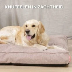 Snoozle Orthopedische Hondenmand - Zacht En Luxe Hondenkussen - Hondenbed - Wasbaar - Hondenmanden - 80 X 55 Cm - Desert Pink 14 Snoozle Orthopedische Hondenmand - Zacht En Luxe Hondenkussen - Hondenbed - Wasbaar - Hondenmanden - 80 X 55 Cm - Desert Pink -Hondenartikelen Serie Winkel 1200x1200 388