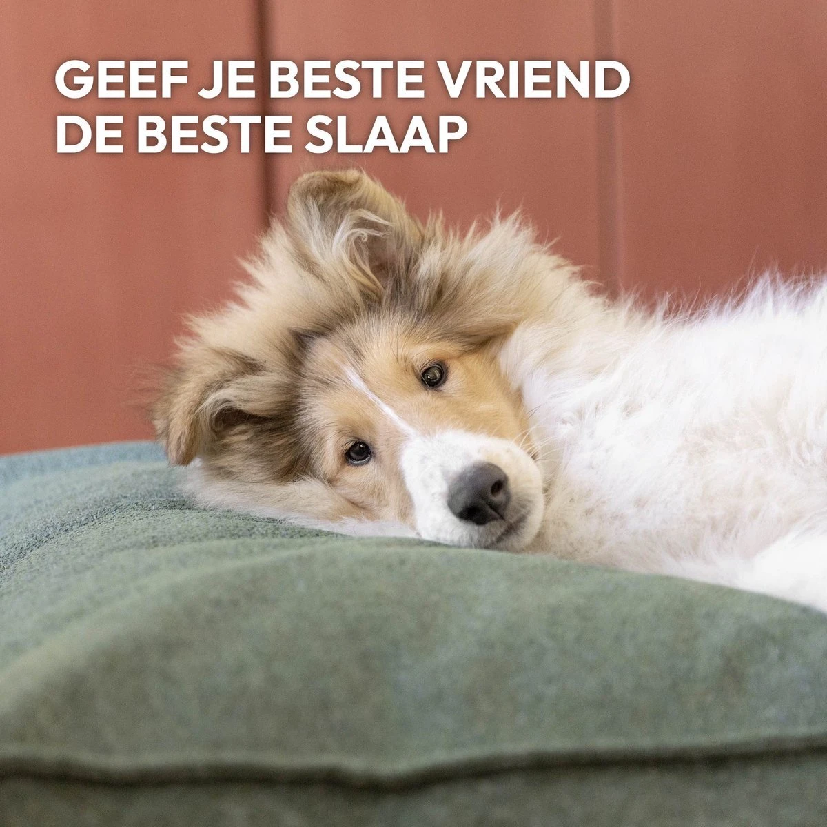 Snoozle Orthopedische Hondenmand - Zacht En Luxe Hondenkussen - Hondenbed - Wasbaar - Hondenmanden - 80 X 55 Cm - Desert Pink 9 Snoozle Orthopedische Hondenmand - Zacht En Luxe Hondenkussen - Hondenbed - Wasbaar - Hondenmanden - 80 X 55 Cm - Desert Pink - Afbeelding 7