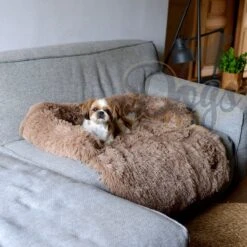 Dogs&Co Zachte Fluffy Hondenmat Voor Bank Maat L Khaki 120x90cm - Hondenmand -Hondenartikelen Serie Winkel 1200x1200 401