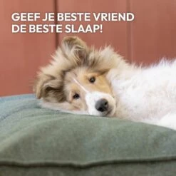 Snoozle Orthopedische Hondenmand - Zacht En Luxe Hondenkussen - Hondenbed - Wasbaar - Hondenmanden - 120 X 90 Cm - Groen -Hondenartikelen Serie Winkel 1200x1200 415