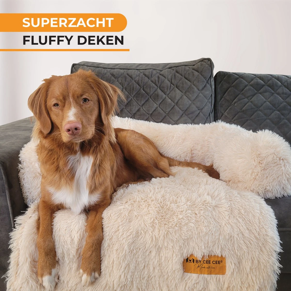 Origineel Hondendeken Voor Bank M – Hondenkleed Fluffy – Pluche Hondenbed - Hondenmand Premium - Volledig Afritsbaar - Beige 3 Origineel Hondendeken Voor Bank M – Hondenkleed Fluffy – Pluche Hondenbed - Hondenmand Premium - Volledig Afritsbaar - Beige