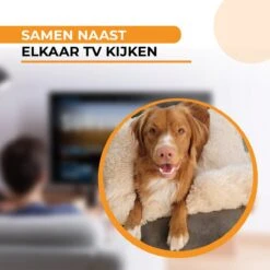 Origineel Hondendeken Voor Bank M – Hondenkleed Fluffy – Pluche Hondenbed - Hondenmand Premium - Volledig Afritsbaar - Beige 11 Origineel Hondendeken Voor Bank M – Hondenkleed Fluffy – Pluche Hondenbed - Hondenmand Premium - Volledig Afritsbaar - Beige -Hondenartikelen Serie Winkel 1200x1200 422