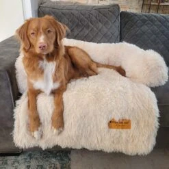 Origineel Hondendeken Voor Bank M – Hondenkleed Fluffy – Pluche Hondenbed - Hondenmand Premium - Volledig Afritsbaar - Beige 15 Origineel Hondendeken Voor Bank M – Hondenkleed Fluffy – Pluche Hondenbed - Hondenmand Premium - Volledig Afritsbaar - Beige -Hondenartikelen Serie Winkel 1200x1200 425