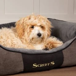 Hondenmand Zacht En Stevig, Anti-Slip En Wasbaar - Scruffs Chester Box Bed - In Grijs En Bruin In Maat S Tot XL - Kleur: Grijs, Maat: Large 23 Hondenmand Zacht En Stevig, Anti-Slip En Wasbaar - Scruffs Chester Box Bed - In Grijs En Bruin In Maat S Tot XL - Kleur: Grijs, Maat: Large -Hondenartikelen Serie Winkel 1200x1200 444