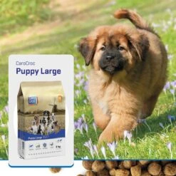 Carocroc Puppy Large Breed 15 KG -Hondenartikelen Serie Winkel 1200x1200 46