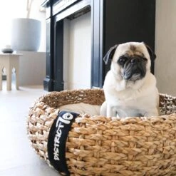 District 70 COCOON - Luxe Hondenmand Van Duurzaam Hoogwaardig Riet Met Zacht Kussen - Maten S/M/L - Large -Hondenartikelen Serie Winkel 1200x1200 460