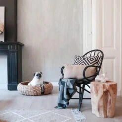 District 70 COCOON - Luxe Hondenmand Van Duurzaam Hoogwaardig Riet Met Zacht Kussen - Maten S/M/L - Large -Hondenartikelen Serie Winkel 1200x1200 461