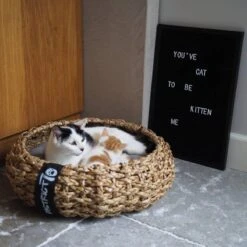 District 70 COCOON - Luxe Hondenmand Van Duurzaam Hoogwaardig Riet Met Zacht Kussen - Maten S/M/L - Large -Hondenartikelen Serie Winkel 1200x1200 465