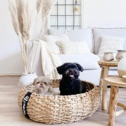 District 70 COCOON - Luxe Hondenmand Van Duurzaam Hoogwaardig Riet Met Zacht Kussen - Maten S/M/L - Large -Hondenartikelen Serie Winkel 1200x1200 468