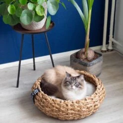 District 70 COCOON - Luxe Hondenmand Van Duurzaam Hoogwaardig Riet Met Zacht Kussen - Maten S/M/L - Large -Hondenartikelen Serie Winkel 1200x1200 472