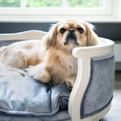 Lord Lou - George Roze Velvet S - Luxe Hondenmand - Luxe Kattenmand - 49x40x31 -Hondenartikelen Serie Winkel 1200x1200 478