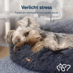 RK® Donut Hondenmand - Zacht Pluche Hondenmand - Hondenbed - 70cm - Hondenkussen - Kattenmand - Grijs Grey 6 RK® Donut Hondenmand - Zacht Pluche Hondenmand - Hondenbed - 70cm - Hondenkussen - Kattenmand - Grijs Grey -Hondenartikelen Serie Winkel 1200x1200 486