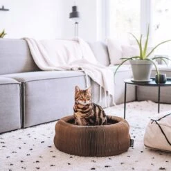 District 70 MAZE 3-in-1 Opvouwbare Kartonnen Kattenmand - Inclusief Catnip Balletje - Voor Slapen, Spelen En Krabben! -Hondenartikelen Serie Winkel 1200x1200 494