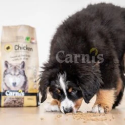 Carnis Chicken Small Geperst Hondenvoer 12,5 Kg - Hond -Hondenartikelen Serie Winkel 1200x1200 50