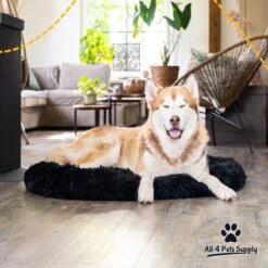 All 4 Pets Supply® Hondenmand Donut - Maat XL - Geschikt Voor Honden Tot 100 Cm - Hondenkussen - Zwart -Hondenartikelen Serie Winkel 1200x1200 504
