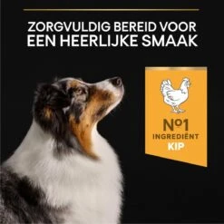 Pro Plan Medium & Large Adult 7+ (Senior) Age Defence - Honden Droogvoer- Kip - 14 Kg 25 Pro Plan Medium & Large Adult 7+ (Senior) Age Defence - Honden Droogvoer- Kip - 14 Kg -Hondenartikelen Serie Winkel 1200x1200 52