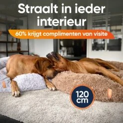 Happysnoots Hondenmand Met Rits - 80cm - Hondenbed - Donut Dog Bed - Fluffy - Grijs - Wasbaar 19 Happysnoots Hondenmand Met Rits - 80cm - Hondenbed - Donut Dog Bed - Fluffy - Grijs - Wasbaar -Hondenartikelen Serie Winkel 1200x1200 524