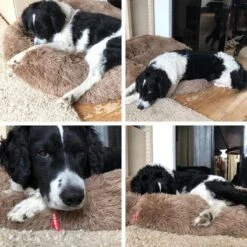 Snoozle Donut Hondenmand - Zacht En Luxe Hondenkussen - Wasbaar - Fluffy - Hondenmanden - 80cm - Creme Bruin -Hondenartikelen Serie Winkel 1200x1200 547