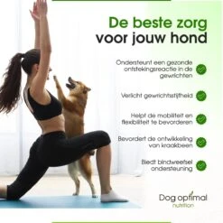 Dog Optimal Gewricht Supplement 90 Stuks - Mobility - Glucosamine Hond - Artrose - Heupdysplasie - Gewrichten - Hondensnacks - Hondenkoekjes - Hondensupplementen - Honden - Puppy - Hondenvoeding - Mankheid - HD - ED -Hondenartikelen Serie Winkel 1200x1200 55