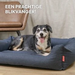 Snoozle Hondenmand - Zacht En Luxe Hondenkussen - Hondenbed - Wasbaar - Hondenmanden - 100 X 70cm -Hondenartikelen Serie Winkel 1200x1200 558