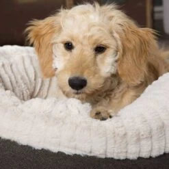 Scruffs Ellen Donut - Warme Hondenmand Van Imitatiebont - Kleur Grijs, Roze Of Bruin - Maat M Of L - Kleur: Grijs, Maat: Medium -Hondenartikelen Serie Winkel 1200x1200 570