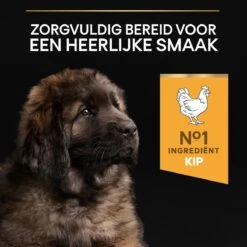 Pro Plan Healthy Start Puppy Large Robust - Honden Droogvoer - Kip - 12 Kg -Hondenartikelen Serie Winkel 1200x1200 61