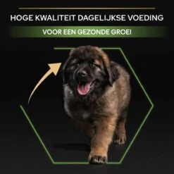 Pro Plan Healthy Start Puppy Large Robust - Honden Droogvoer - Kip - 12 Kg -Hondenartikelen Serie Winkel 1200x1200 62