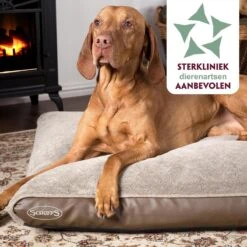 Scruffs Chateau - Hondenbed Orthopedisch Met Memory Foam Voor Extra Steun Voor Rug En Gewrichten - Grijs & Bruin Maat M/L - Kleur: Grijs, Maat: Large -Hondenartikelen Serie Winkel 1200x1200 629
