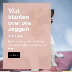 Rexproduct Hondenkussen - Hondenmand - Hondenbed Met Rits En Wasbaar - Manden & Kussens 90 X 110 CM - 0 Tot 80 Kg - SoftPet Groen 22 Rexproduct Hondenkussen - Hondenmand - Hondenbed Met Rits En Wasbaar - Manden & Kussens 90 X 110 CM - 0 Tot 80 Kg - SoftPet Groen -Hondenartikelen Serie Winkel 1200x1200 654