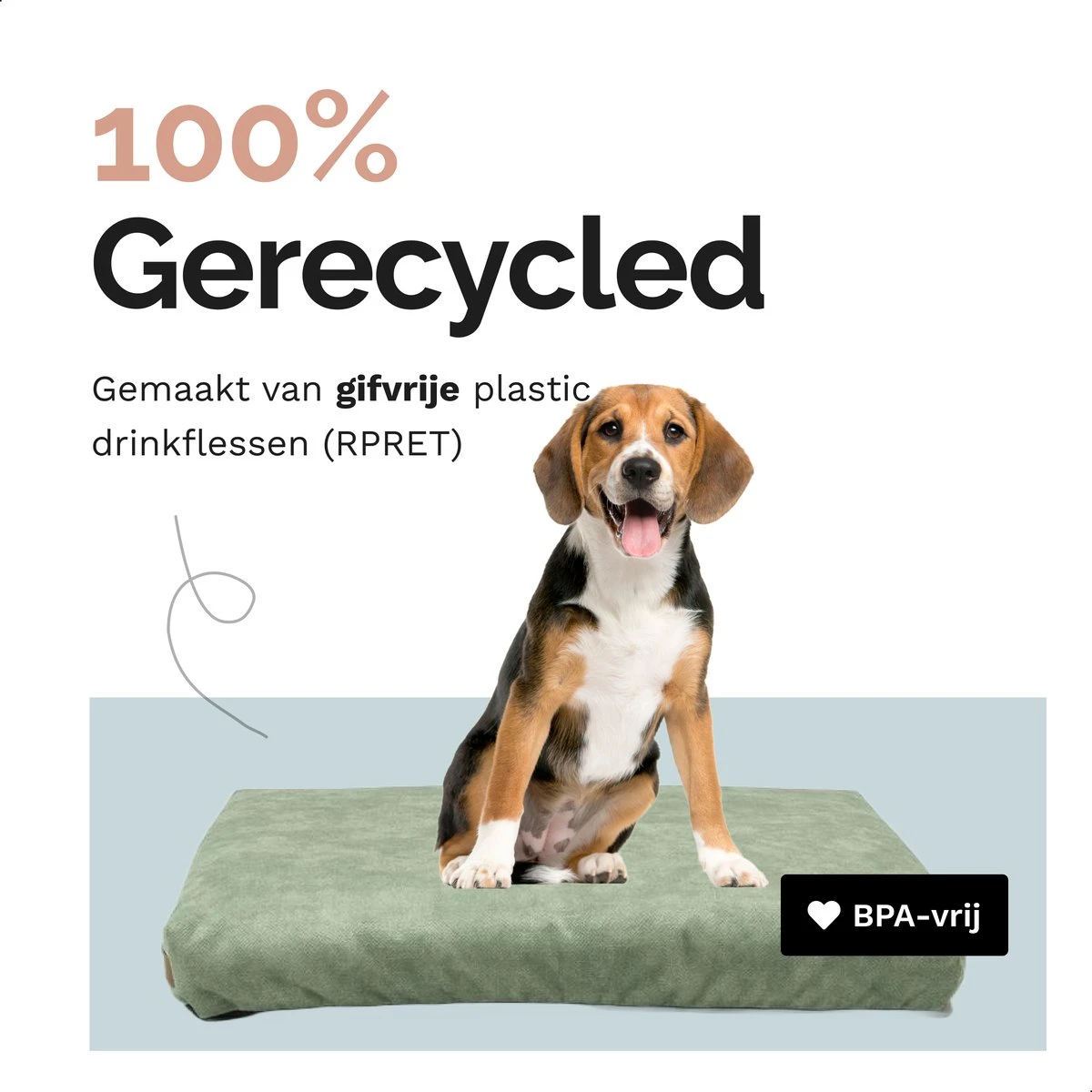Rexproduct Hondenkussen - Hondenmand - Hondenbed Met Rits En Wasbaar - Manden & Kussens 90 X 110 CM - 0 Tot 80 Kg - SoftPet Groen 13 Rexproduct Hondenkussen - Hondenmand - Hondenbed Met Rits En Wasbaar - Manden & Kussens 90 X 110 CM - 0 Tot 80 Kg - SoftPet Groen - Afbeelding 11
