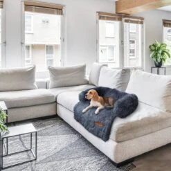 Origineel Hondendeken Voor Bank– Hondenkleed Fluffy – Pluche Hondenbed - Hondenmand Premium - Volledig Afritsbaar 17 Origineel Hondendeken Voor Bank– Hondenkleed Fluffy – Pluche Hondenbed - Hondenmand Premium - Volledig Afritsbaar -Hondenartikelen Serie Winkel 1200x1200 657