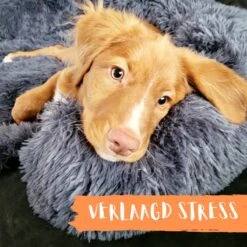 Origineel Hondendeken Voor Bank– Hondenkleed Fluffy – Pluche Hondenbed - Hondenmand Premium - Volledig Afritsbaar 26 Origineel Hondendeken Voor Bank– Hondenkleed Fluffy – Pluche Hondenbed - Hondenmand Premium - Volledig Afritsbaar -Hondenartikelen Serie Winkel 1200x1200 665