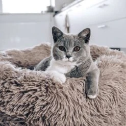 District 70 FUZZ - Hondenmand Comfortabel En Zacht Pluche - Zand, Oudroze, Donkergrijs En Lichtgrijs In S/M/L/XL - Maat: Large, Kleur: Zand -Hondenartikelen Serie Winkel 1200x1200 672