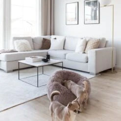 District 70 FUZZ - Hondenmand Comfortabel En Zacht Pluche - Zand, Oudroze, Donkergrijs En Lichtgrijs In S/M/L/XL - Maat: Large, Kleur: Zand -Hondenartikelen Serie Winkel 1200x1200 673