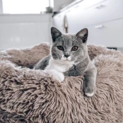 District 70 FUZZ - Hondenmand Comfortabel En Zacht Pluche - Zand, Oudroze, Donkergrijs En Lichtgrijs In S/M/L/XL - Maat: Medium, Kleur: Zand -Hondenartikelen Serie Winkel 1200x1200 680