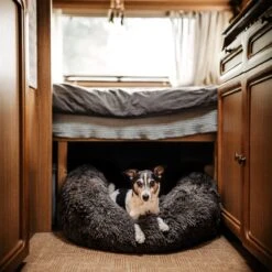 District 70 FUZZ - Hondenmand Comfortabel En Zacht Pluche - Zand, Oudroze, Donkergrijs En Lichtgrijs In S/M/L/XL - Maat: Medium, Kleur: Zand -Hondenartikelen Serie Winkel 1200x1200 683