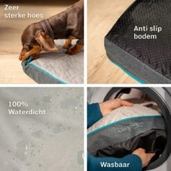 CozySense® - Orthopedisch Hondenkussen - Hondenkussen 100 X 70 Cm - Geschikt Als Benchkussen & Hondenbed - Hondenkussen Bank - Traagschuim - Waterdicht - Wasbare Hoes - Maat XL -Hondenartikelen Serie Winkel 1200x1200 691