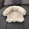 Kussen Voor Kat Of Kleine Hond | Fluffy Dierenkussen Van Pluche | Kat | Bank | Mand | Kattenmand | Kattendeken & Bankbeschermer Max. 15 Kg | Beige | Maat XS