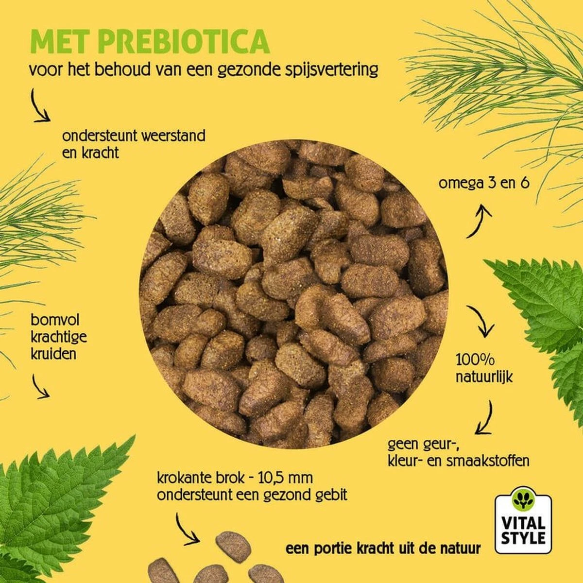 VITALstyle HUID+VACHT - Hondenbrokken - 12 Kg 7 VITALstyle HUID+VACHT - Hondenbrokken - 12 Kg - Afbeelding 5