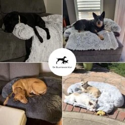 Premium Hondendeken Bank - Hondenkussens - Hondenmand Bank - Hondendeken Voor Op De Bank - Bankbeschermer - Donkergrijs -Hondenartikelen Serie Winkel 1200x1200 704
