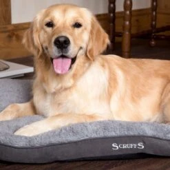 Scruffs Cosy - Comfortabel Hondenkussen In Grijs, Beige Of Karamel - Met Imitatie Suède Buitenvoering En Superzachte Binnenvoering - 100 X 70 Cm - Grijs 26 Scruffs Cosy - Comfortabel Hondenkussen In Grijs, Beige Of Karamel - Met Imitatie Suède Buitenvoering En Superzachte Binnenvoering - 100 X 70 Cm - Grijs -Hondenartikelen Serie Winkel 1200x1200 710