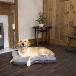 Scruffs Cosy - Comfortabel Hondenkussen In Grijs, Beige Of Karamel - Met Imitatie Suède Buitenvoering En Superzachte Binnenvoering - 100 X 70 Cm - Grijs 28 Scruffs Cosy - Comfortabel Hondenkussen In Grijs, Beige Of Karamel - Met Imitatie Suède Buitenvoering En Superzachte Binnenvoering - 100 X 70 Cm - Grijs -Hondenartikelen Serie Winkel 1200x1200 712