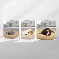 Peaceful Pooch S - Pluizig Hondenbed - 58cm Diameter - Opvouwbaar - In Verschillende Maten. Kattenbed - Wasbaar - Uitneembare Vulling - Ontspant Gewrichten En Spieren - Anti-slip Noppenbodem -Hondenartikelen Serie Winkel 1200x1200 734