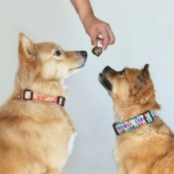 Topdiervoeding Runderlong Hondensnacks - Vers Gedroogd - Knapperig - 1 KG -Hondenartikelen Serie Winkel 1200x1200 74