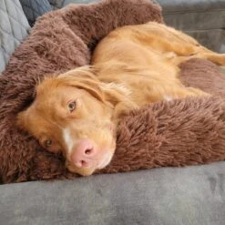 Origineel Hondendeken Voor Bank– Hondenkleed Fluffy – Pluche Hondenbed - Hondenmand Premium - Volledig Afritsbaar -Hondenartikelen Serie Winkel 1200x1200 742