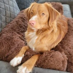 Origineel Hondendeken Voor Bank– Hondenkleed Fluffy – Pluche Hondenbed - Hondenmand Premium - Volledig Afritsbaar -Hondenartikelen Serie Winkel 1200x1200 744